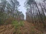 013 Toney Drive - Photo 4