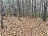 LOT 11 County Road 328 - Photo 2