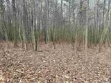 LOT 11 County Road 328 - Photo 3