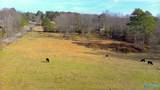 7071 County Road 109 - Photo 21