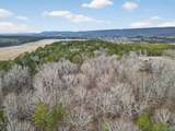 38.1 acres Steele Station Road - Photo 6