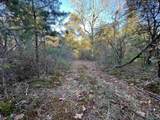 3 AC County Road 52 - Photo 4