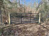 3 AC County Road 52 - Photo 7