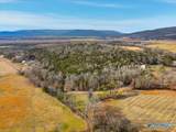2.47 Acres-Lot3 County Road 214 - Photo 15