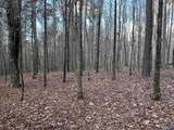 049  PARCEL Glenn Gap Road - Photo 5