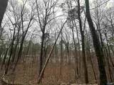 0.62 Riddles Bend Road - Photo 3