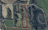 11 acres County Road 271 - Photo 1