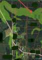 7 acres Carters Gin Road - Photo 10