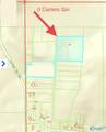 7 acres Carters Gin Road - Photo 8