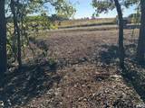 12081 Pecan Grove Way - Photo 3