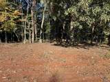 12081 Pecan Grove Way - Photo 4