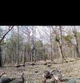 93.67 County Road 106 - Photo 4