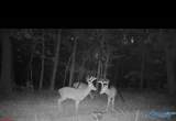 93.67 County Road 106 - Photo 5