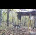 93.67 County Road 106 - Photo 6