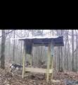 93.67 County Road 106 - Photo 7