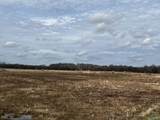 151 County Road 113 - Photo 4