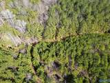 14.28 ACRES Gault Avenue - Photo 2