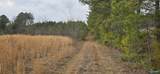 14.28 ACRES Gault Avenue - Photo 6