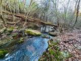 374 County Road 603 - Photo 47