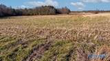 30 ACRE County Road 603 - Photo 10
