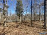 572 County Road 676 - Photo 8