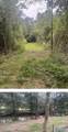 32 Acres Wesson Gap Road - Photo 12