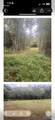 32 Acres Wesson Gap Road - Photo 16