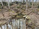 572B County Road 676 - Photo 3