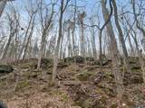 572B County Road 676 - Photo 4