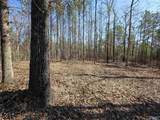 LOT 146 County Road 177 - Photo 13