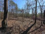 LOT 146 County Road 177 - Photo 16