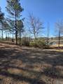 LOT 146 County Road 177 - Photo 20