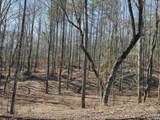 LOT 146 County Road 177 - Photo 4