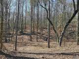LOT 146 County Road 177 - Photo 6