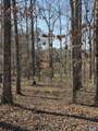 LOT 146 County Road 177 - Photo 7