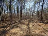 LOT 146 County Road 177 - Photo 8
