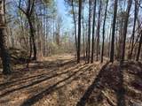 LOT 146 County Road 177 - Photo 9
