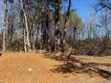 17315 Alabama Highway 251 - Photo 3