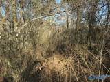 5288 Hwy 75 - Photo 4