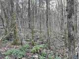 3600 County Road 42 - Photo 29