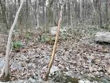 3600 County Road 42 - Photo 30