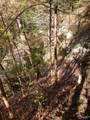 15acres Highway 101 - Photo 5