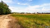 2507 Rockhouse Road - Photo 10