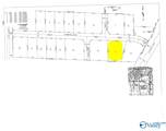 Lot 11 Commercial Drive - Photo 7