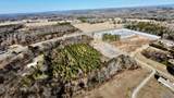 6.3 Acres Williams Road - Photo 13