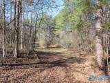 12.2 acres Browder Road - Photo 8
