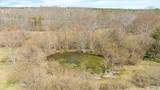 17.27 acres County Road 48 - Photo 6