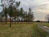 123 County Road 176 - Photo 45