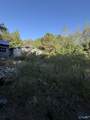 1028 Goddard Road - Photo 4