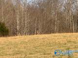15 Ragsdale Creek Road - Photo 7